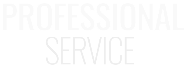 PROFESSIONAL SERVICE